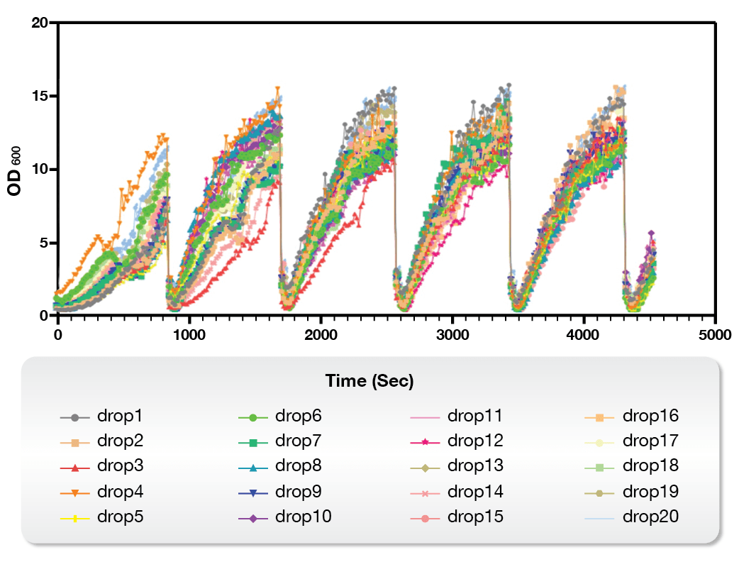 Adaptive Evolution and High-throughput Screening